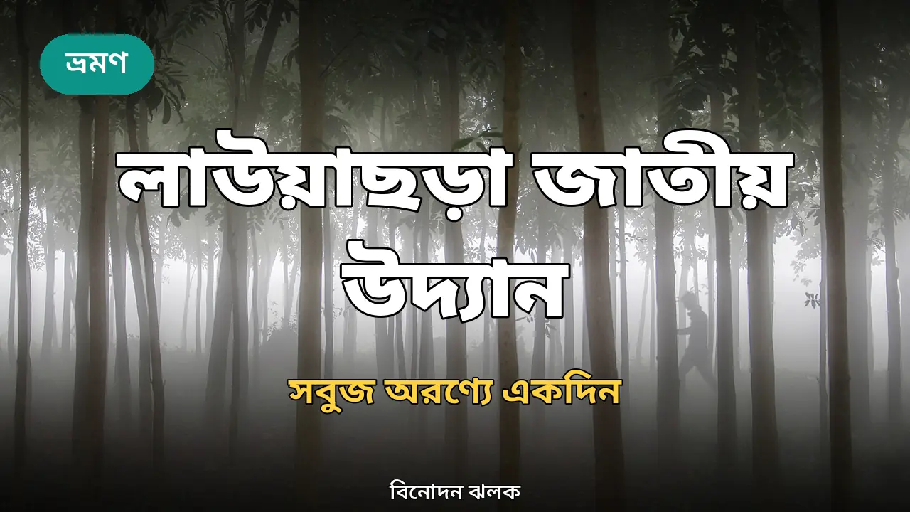 লাউয়াছড়া জাতীয় উদ্যান ভ্রমণ গাইড ২০২৬: সবুজ অরণ্যে একদিন