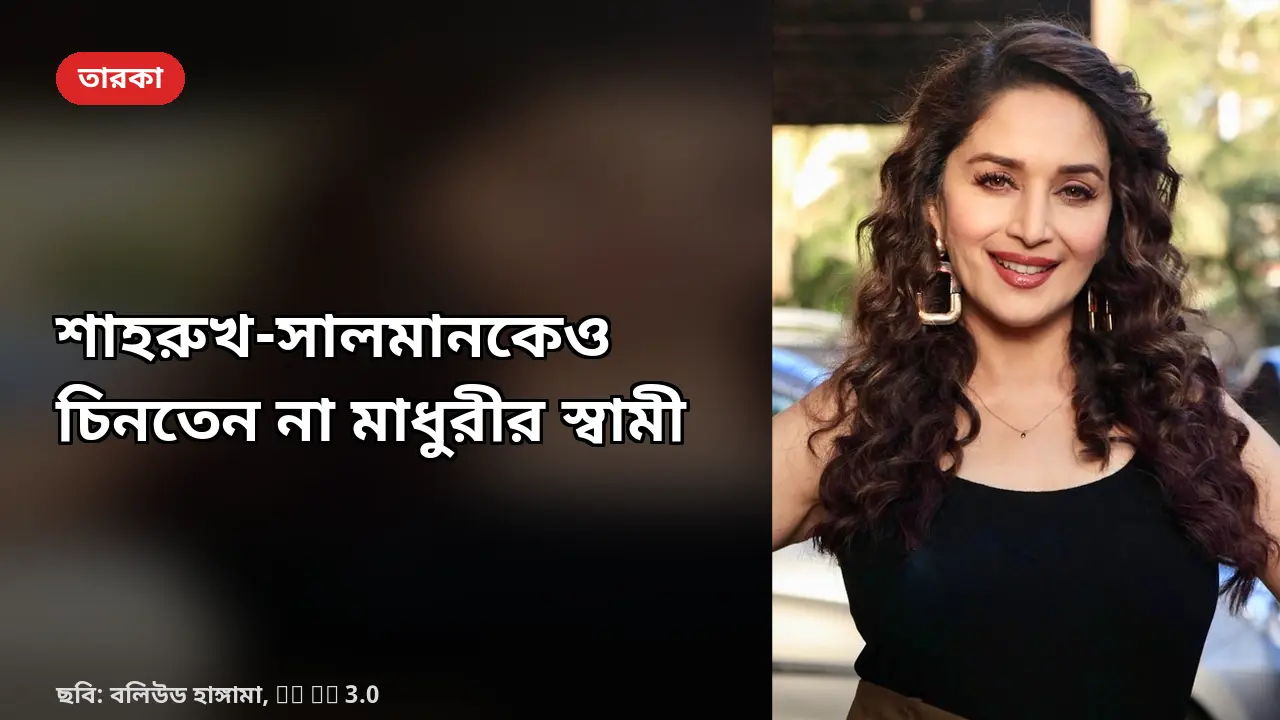 শাহরুখ-সালমানকেও চিনতেন না মাধুরীর স্বামী