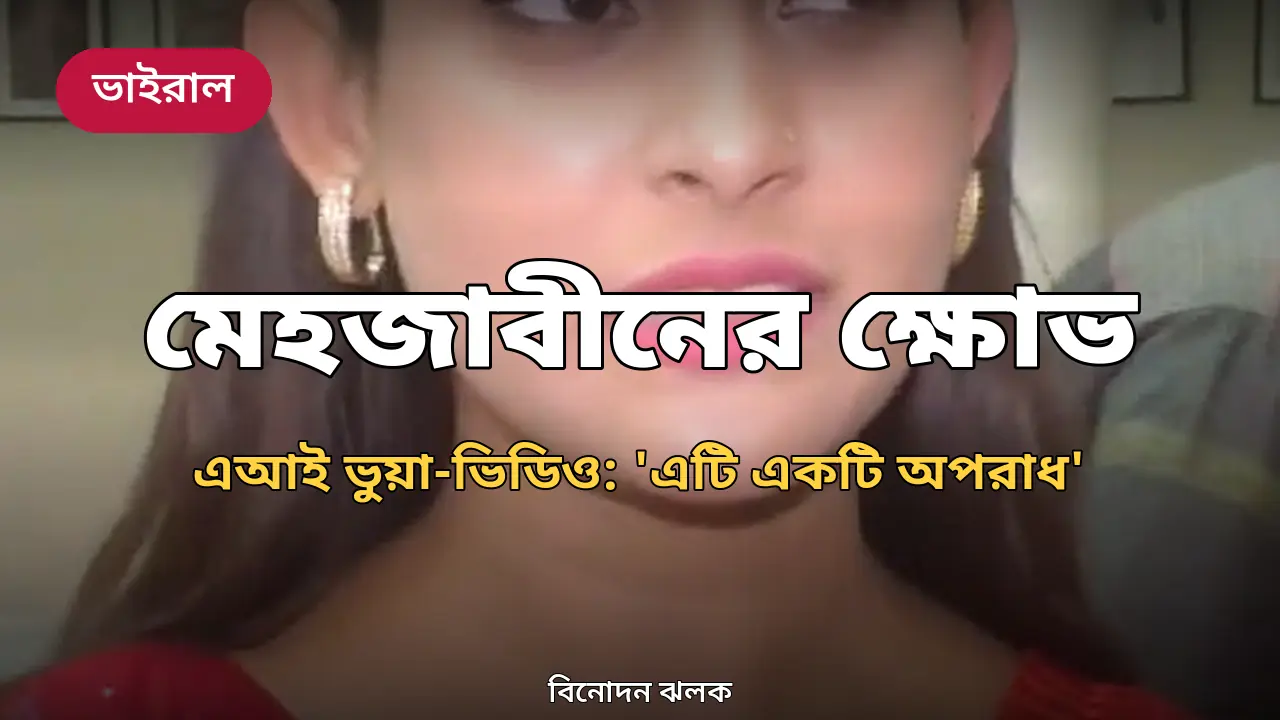 'কবে থেকে অন্যের অপমান উপার্জনের মাধ্যম হলো': এআই ভুয়া-ভিডিও নিয়ে মেহজাবীনের ক্ষোভ