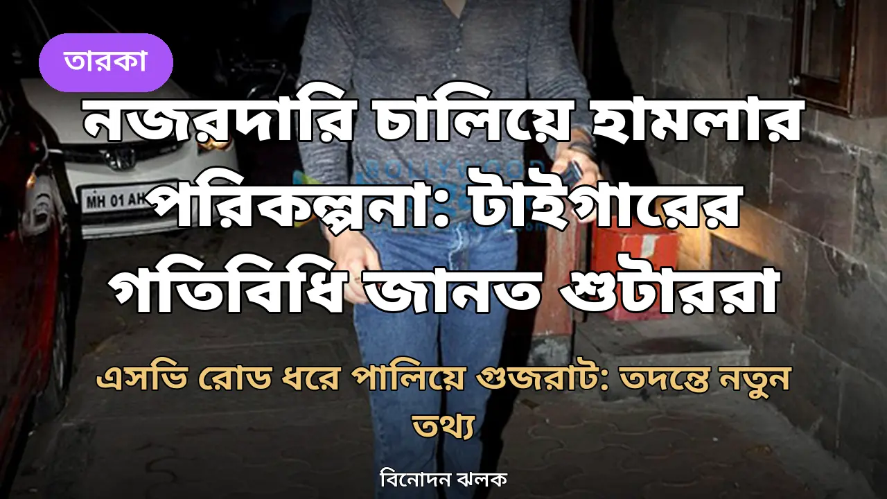 হামলার আগে চলাফেরায় নজরদারি, পরে ছকে পালানোর পরিকল্পনা: টাইগার-হামলায় তদন্তের নতুন তথ্য